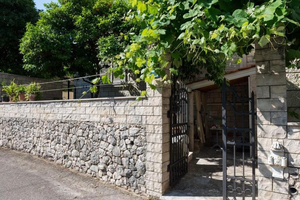 Apartment Wild Orange Ντουμπρόβνικ Εξωτερικό φωτογραφία